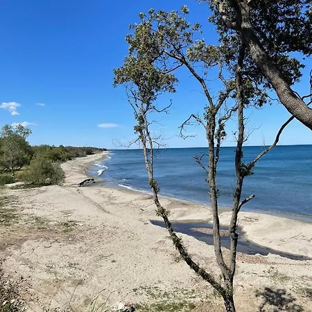 Sognu Di Mare * Linguizzetta